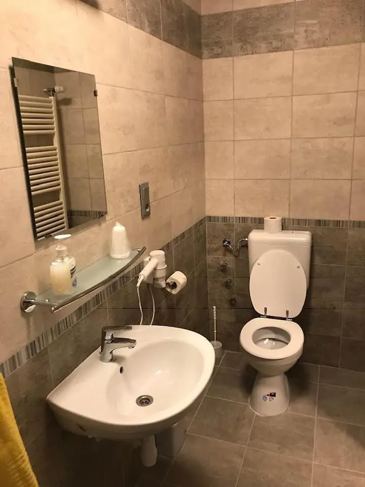 *** Guest house Halasz Airport Panzio Vecses Hungary